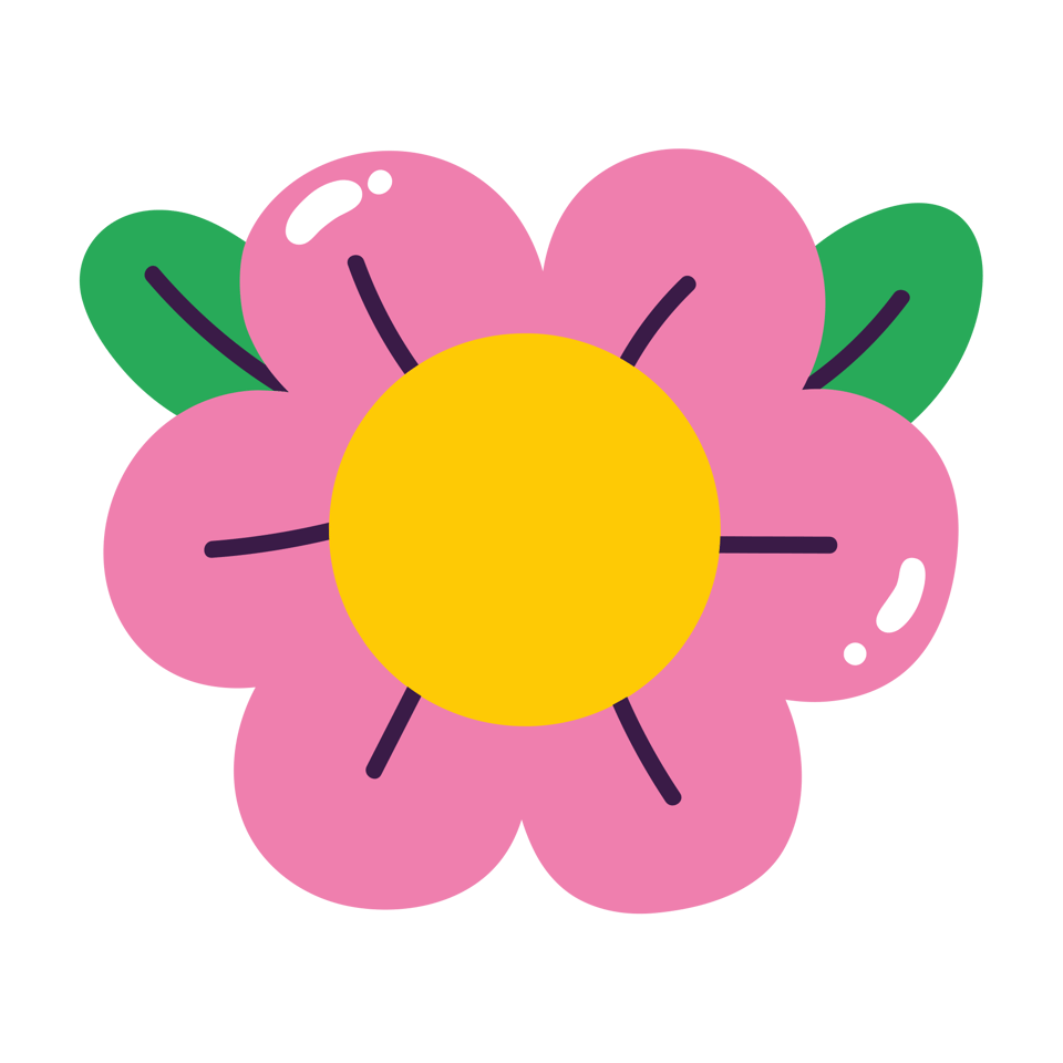 api