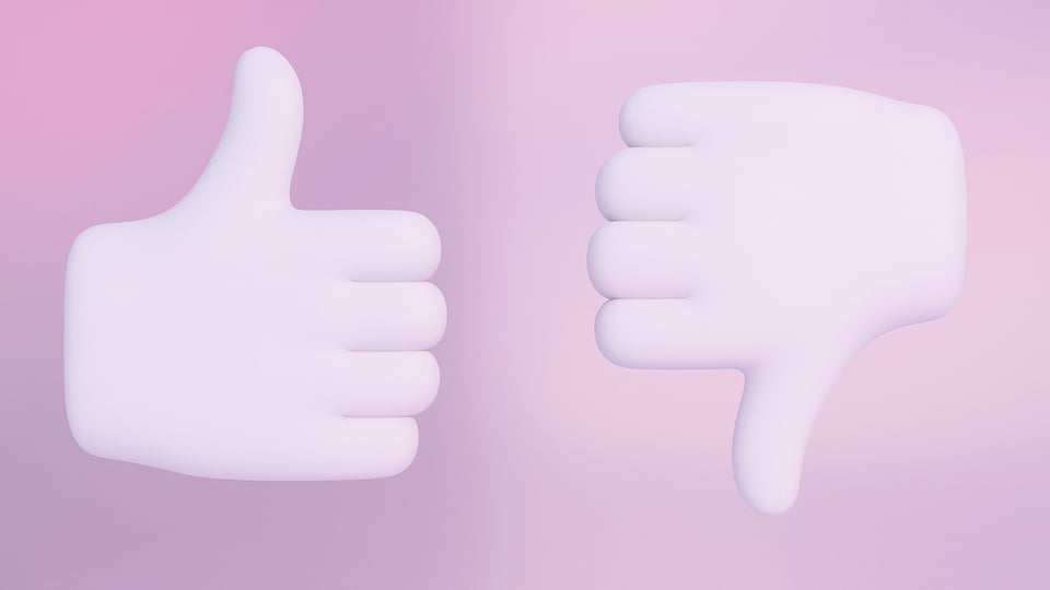 feedback
